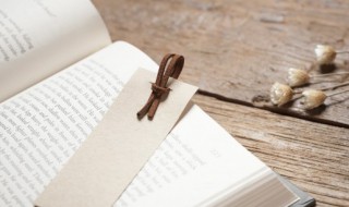 童年主要内容30字 童年的发现主要内容30字