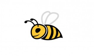 蜜蜂单词怎么读（蜜蜂英语怎么读）