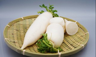 萝卜白菜怎么炒 萝卜和白菜怎么炒