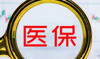 基本医疗保险怎么交（学生基本医疗保险怎么交）