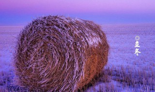 描写立冬的唯美句子2021 2020关于立冬的唯美句子100句