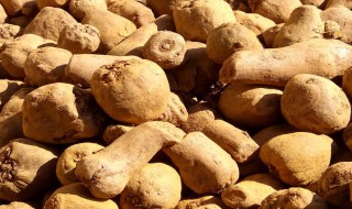 魔芋吃多了有坏处吗 魔芋吃多了会不会对身体有害