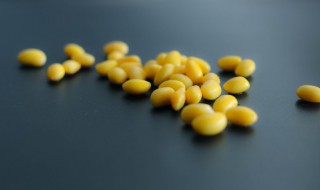 黄豆的储存方法（黄豆的储存方法不长虫）