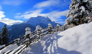 暴雪的标准（暴雪的标准容器）