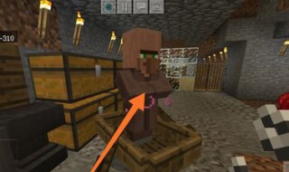 村民怎么才能刷新交易（怎么让村民刷新交易）