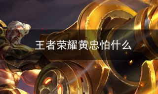 王者荣耀黄忠怕什么(王者荣耀黄忠怕什么射手)