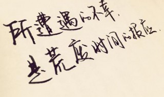 小学生珍惜时间的句子(小学生珍惜时间的句子明日复明日 明日何其多拼音)