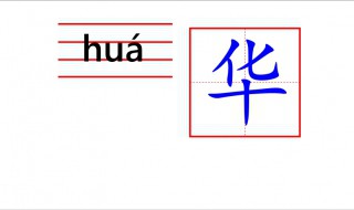 华怎么写(华钱的华怎么写)