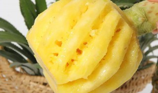 云南香水菠萝什么时候成熟(云南香水菠萝什么时候成熟的)