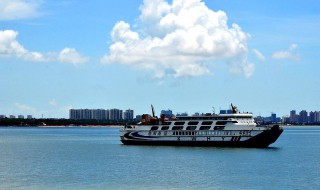 海口轮渡怎样预约购票（海口轮渡怎样预约购票便宜）