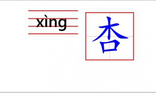 杏字怎么写 杏字怎么写拼音