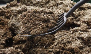 想要沤肥,怎么发酵才能最快(想要沤肥,怎么发酵才能最快的消除)