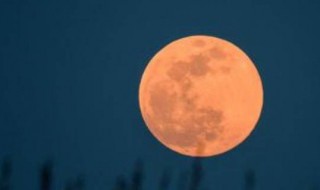 月亮为什么会从西边出来 月亮为什么会在西边出来