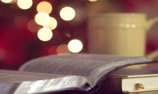 蕾组词（蕾组词和读音）