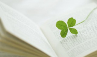 澹怎么读 澹怎么读写