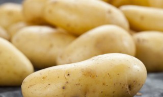 老人补钾的食物（老人补钾的食物有那些）