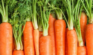 胡萝卜中间发绿能吃吗 胡萝卜中间绿了能吃吗