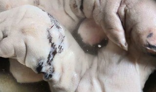 肉焯水后过不过凉水（肉焯水后要过凉水吗）