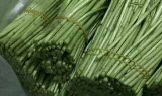 芦篙怎么储存（芦蒿的营养）