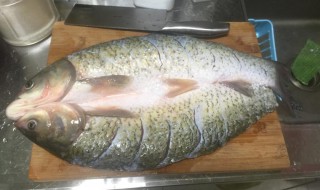 鱼的宰杀技巧 鱼的宰杀技巧是什么