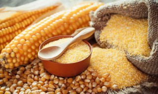 淀粉和碳水化合物的区别 淀粉和碳水化合物的区别在哪里