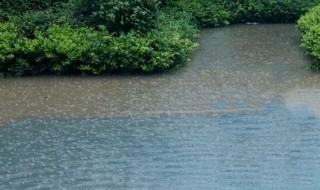 梅雨天什么时间（梅雨天什么时间开窗通风）