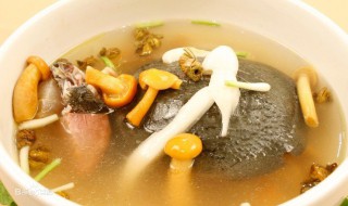 补身体的甲鱼汤怎么做（补身体的甲鱼汤怎么做好喝）