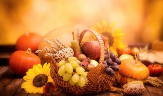 秋季饮食禁忌（秋季饮食禁忌小贴士）