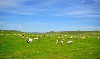 课外书中描写风的句子 名著中描写风的句子