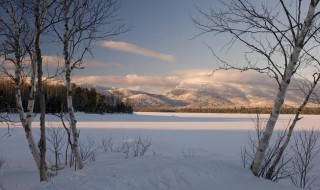 描写冬天情感优美句子大全 描写冬天情感优美句子大全摘抄