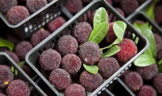 杨梅怎么腌制才好吃 杨梅怎么腌制才好吃又甜