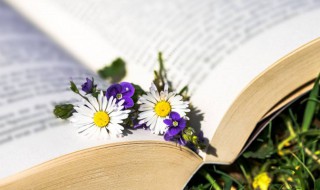 英文十二月的缩写是什么 十二月英文缩写是什么意思