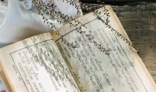 花香蝶自来是什么意思 无高峰必至花香蝶自来是什么意思