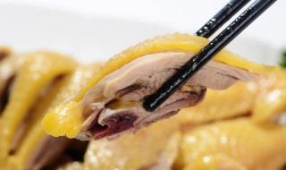 怎样用盐焗粉做广东白切鸡 怎样用盐焗粉做广东白切鸡好吃