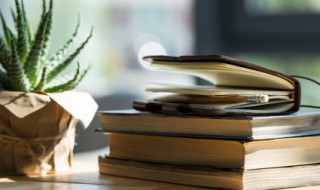 半信半疑意思（半信半疑意思和造句）