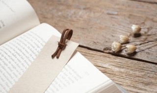 燕岱之石意思(燕岱之石是成语吗)