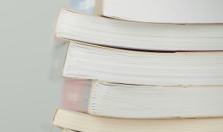 尘土纷嚣的意思分享（尘土纷嚣是什么意思的意思是什么）