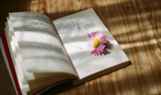 借镜观形意思（借镜的意思）