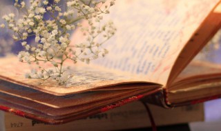 关于幽默笑话段子的高情商短句（关于幽默笑话段子的高情商短句子）