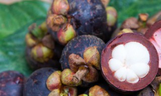 吃山竹的注意事项 吃山竹需要注意什么