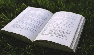 牡丹虽好全仗绿叶扶持是什么意思 牡丹虽好全仗绿叶扶持的意思