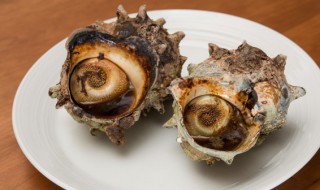 海螺煮完紫色可以吃吗 海螺煮完紫色可以吃吗图片