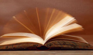 人心不同各如其面是什么意思 人心不同有如其面