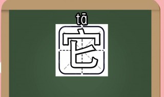 它字组词（它字组词她字组词）