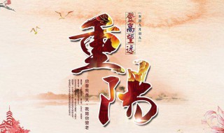 描写重阳的句子 描写重阳的句子有哪些