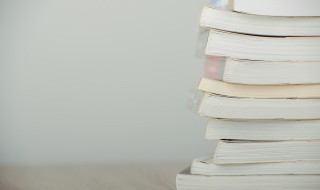 称呼礼仪 称呼礼仪教案