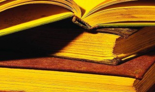 赞美老师的话摘抄 赞美老师的话摘抄好句