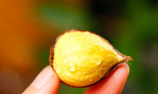 被板栗刺扎了怎么办（被板栗的刺扎了怎么办）