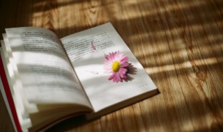 去伪存真的意思 去伪存真的意思和启发