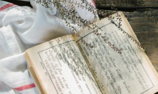 深遂的意思是什么 深遂的意思是什么解释